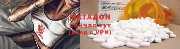 шишки Аркадак