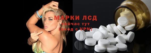 шишки Аркадак