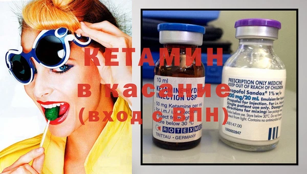 шишки Аркадак