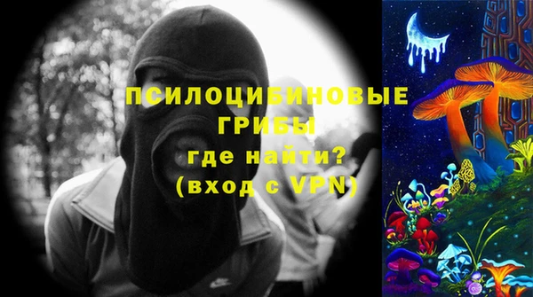 шишки Аркадак