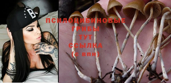 MDMA Армянск