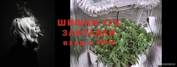 шишки Аркадак